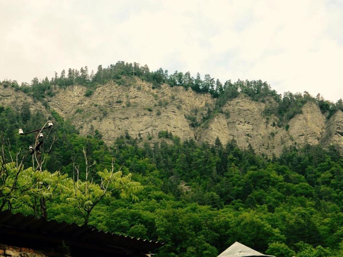 Erik'S Guest House ボルジョミ エクステリア 写真